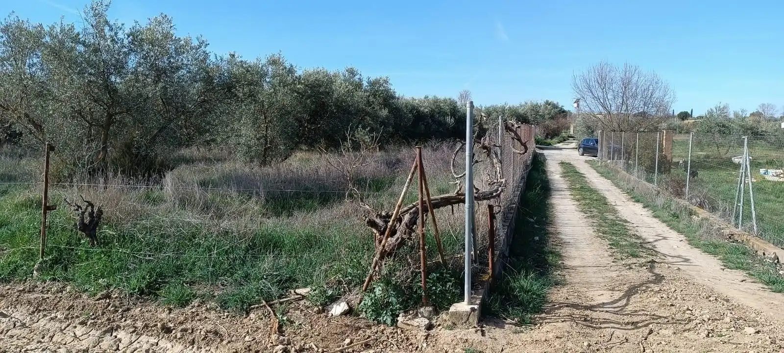 Finca rústica en venta en Villa de Otura