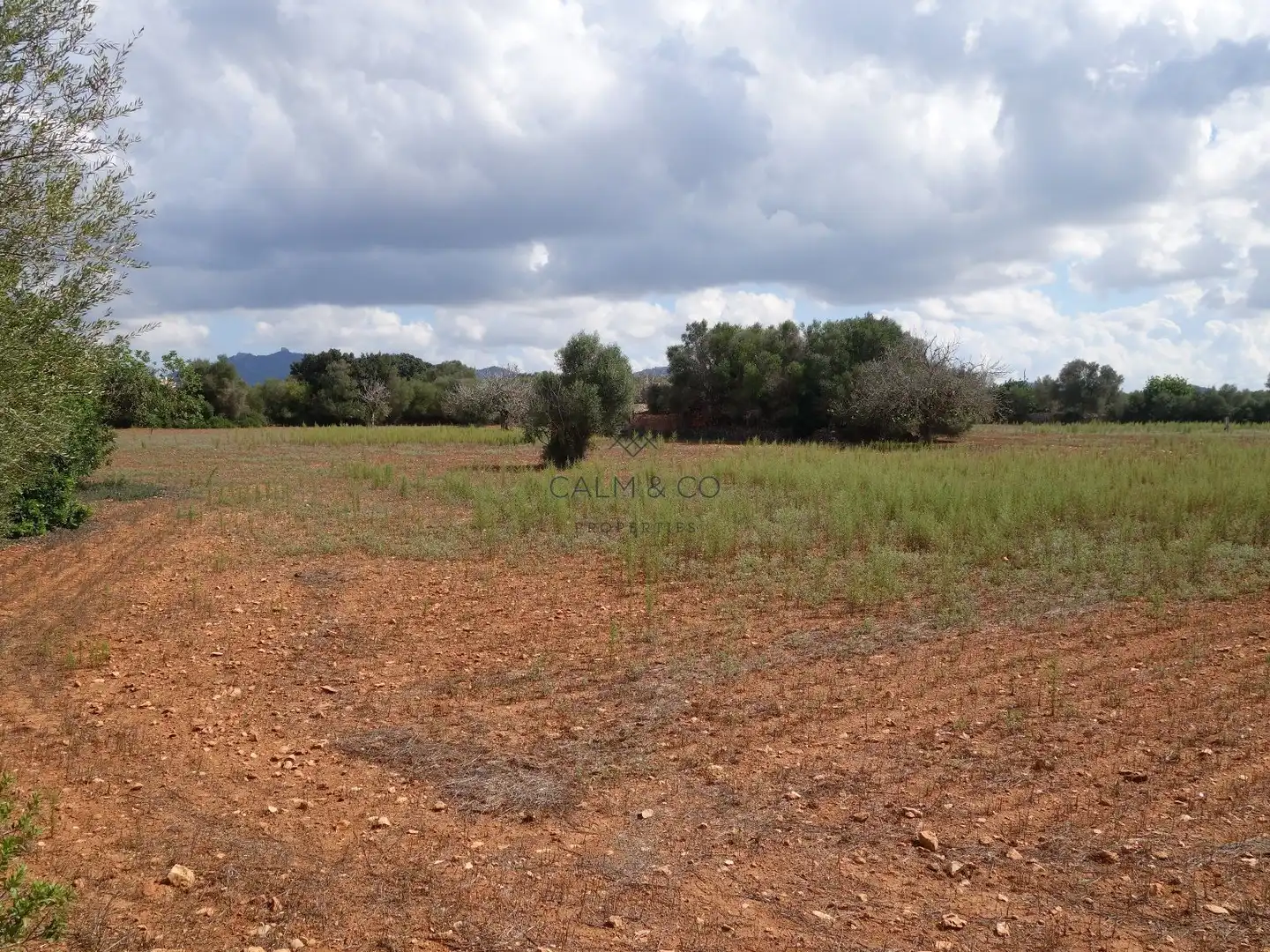 Residential land for sale in Felanitx Poble, imagen 2