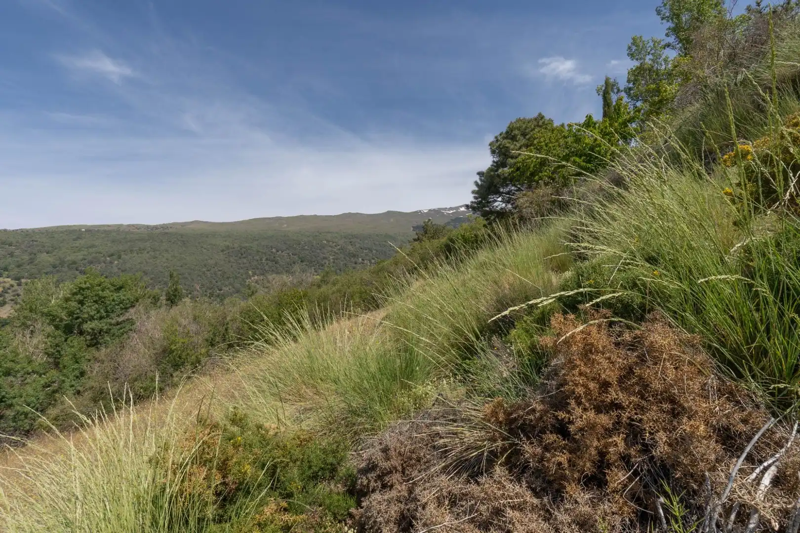 Terreno en venta en Soportújar