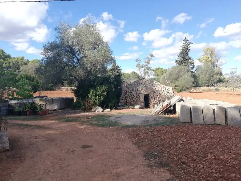 Terreno rustico in vendita a Algaida, imagen 7
