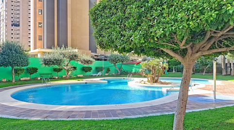 Foto 2 de Piso en venta en Playa Levante, Benidorm