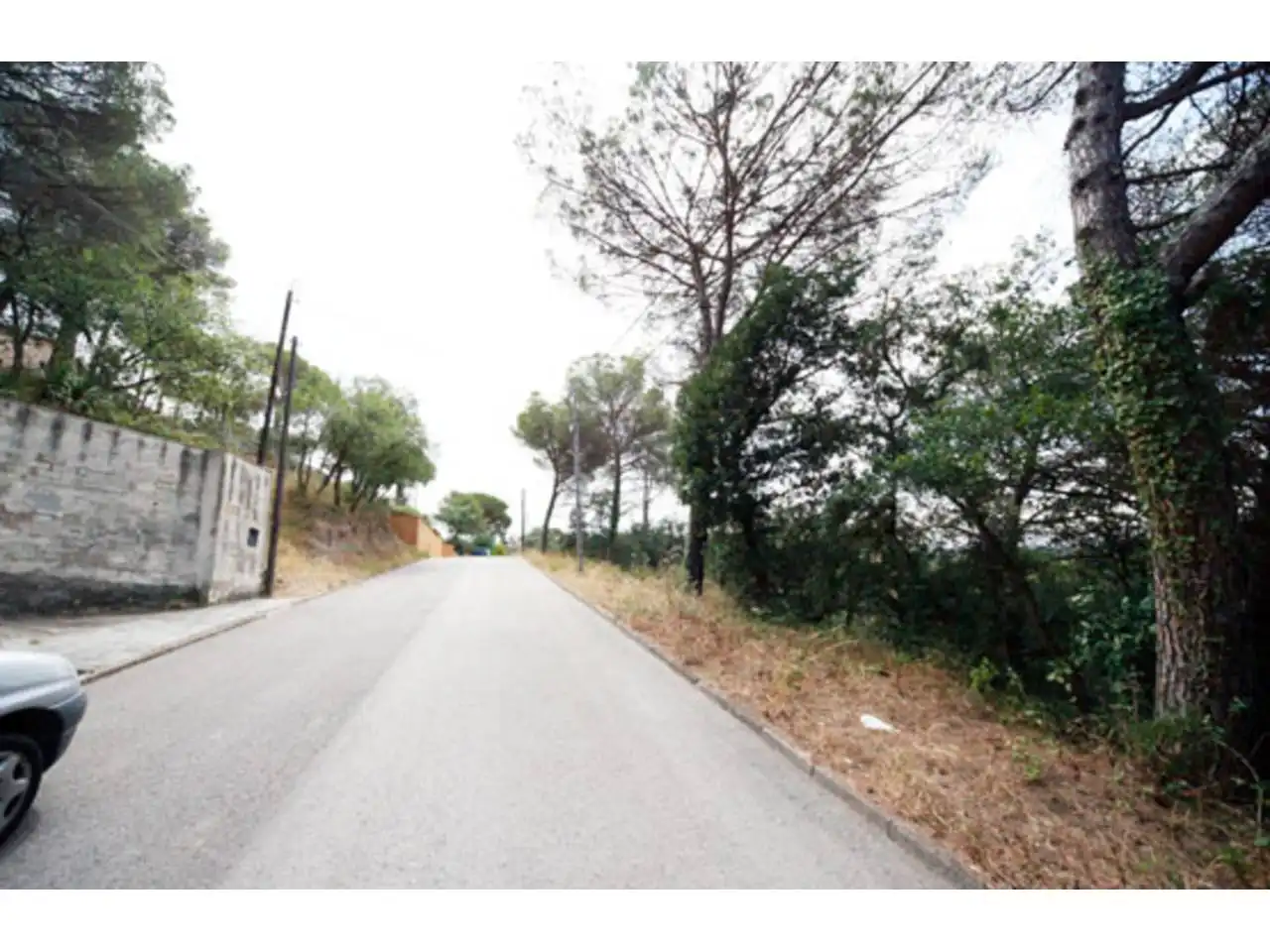 Rural land for sale in Junta de la Compensación, imagen 3