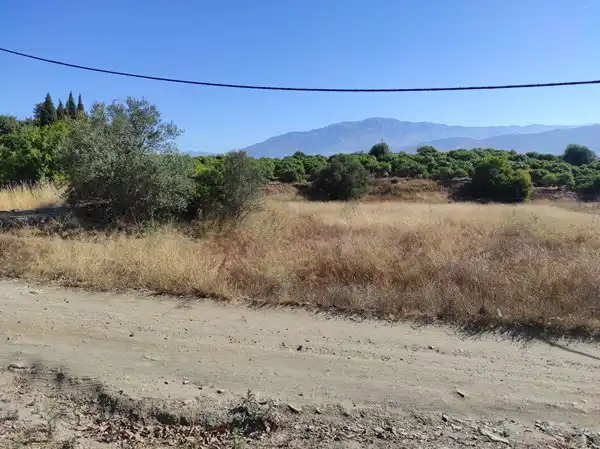 Finca rústica en venda en Benamocarra amb Jardí privat