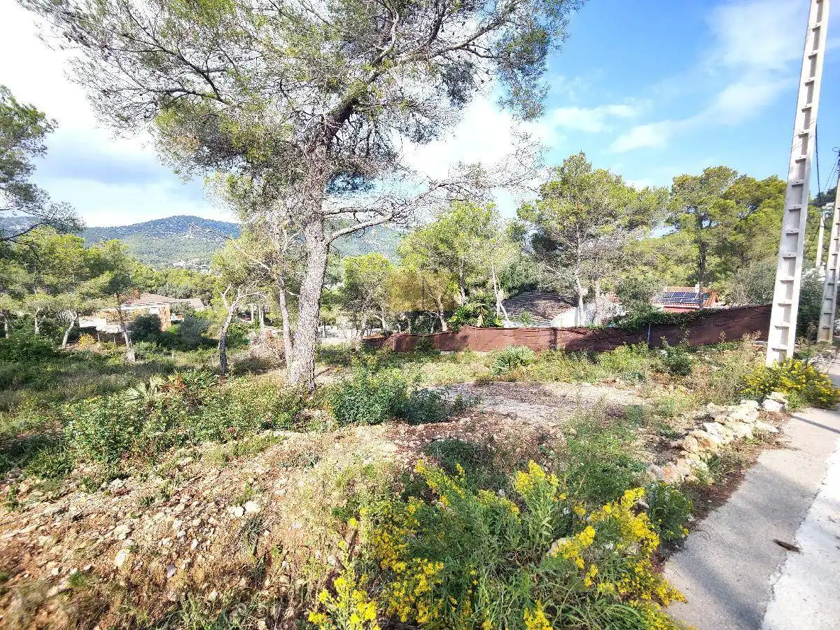 Terrenos y solares en venta en Canyelles, imagen 5