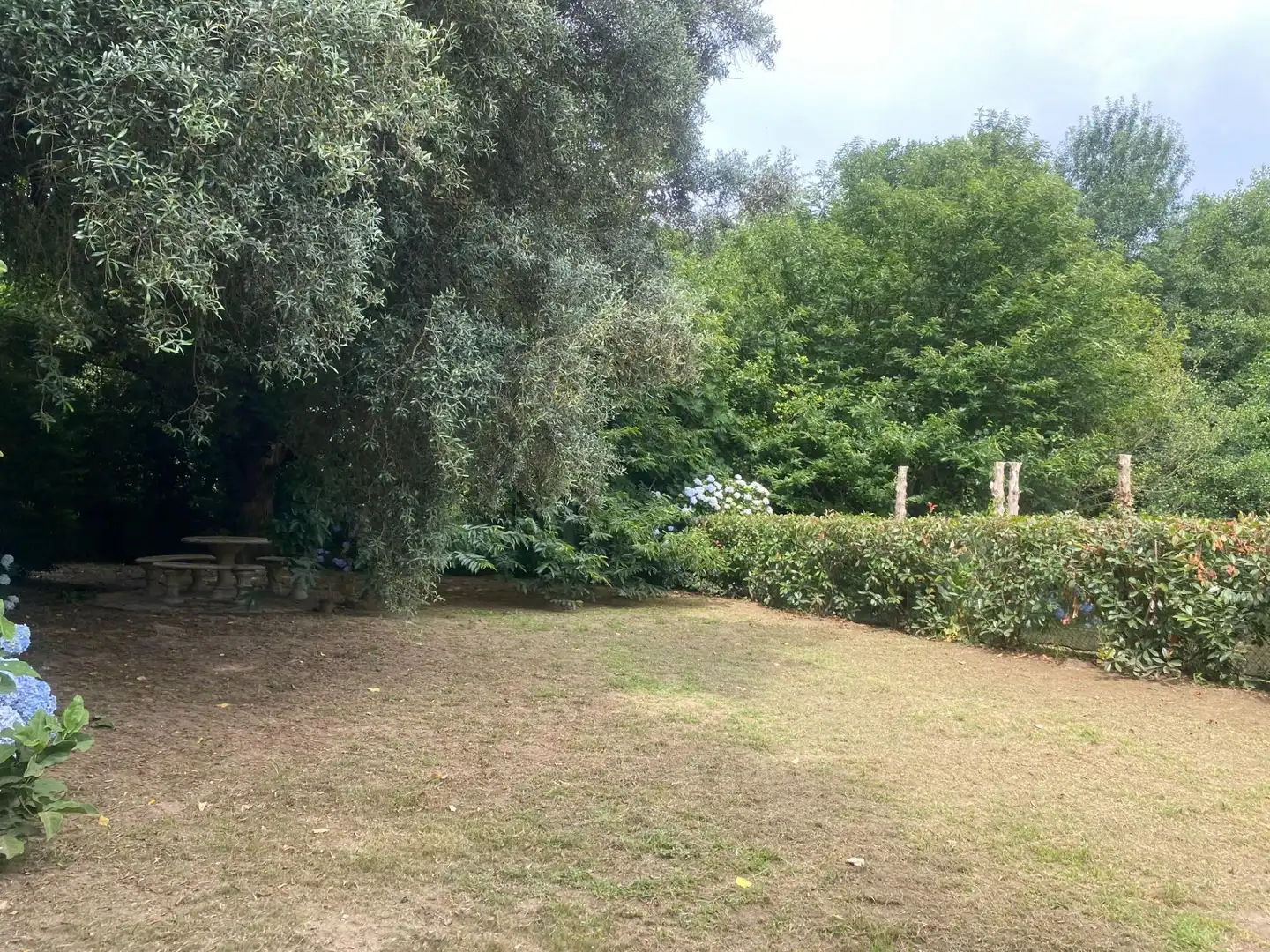 Jardín de Casa o chalet en venta en Portas con Jardín privado, Terraza y Trastero