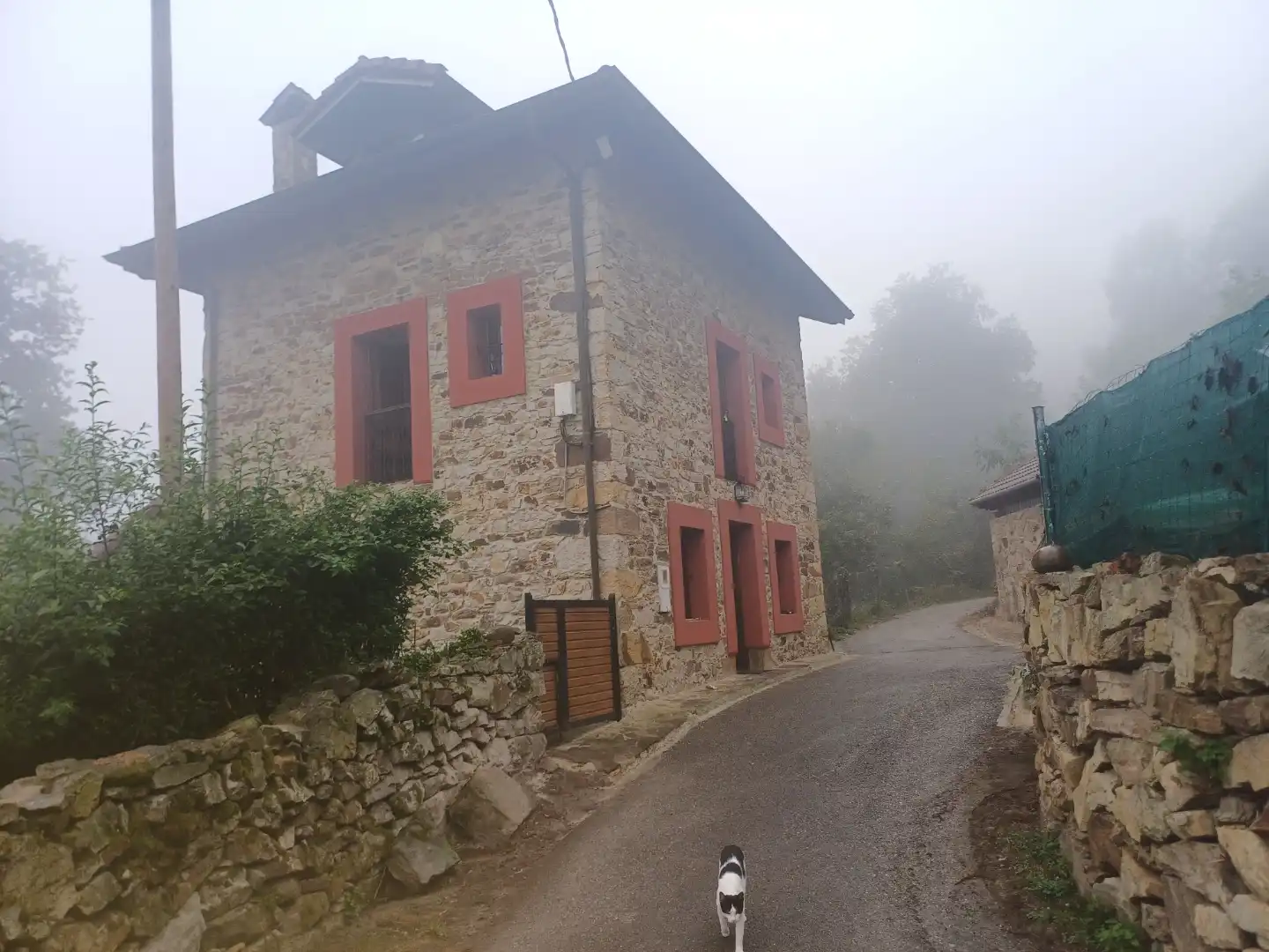Vista exterior de Casa o xalet en venda en Oviedo 