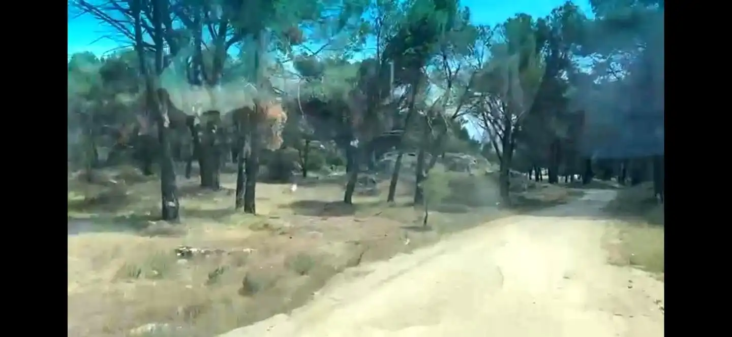 Terreny rústic en venda a Navahoncil, imagen 19