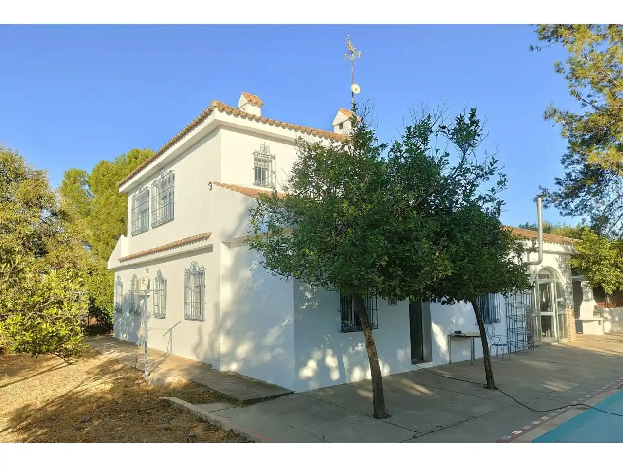 Vista exterior de Casa o chalet en venta en Carmona con Aire acondicionado, Jardín privado y Terraza