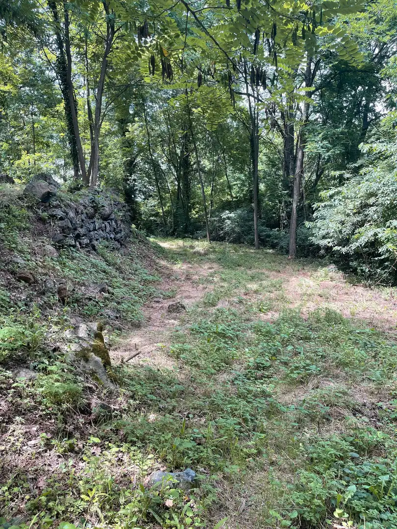 Residential land for sale in Olot, imagen 4