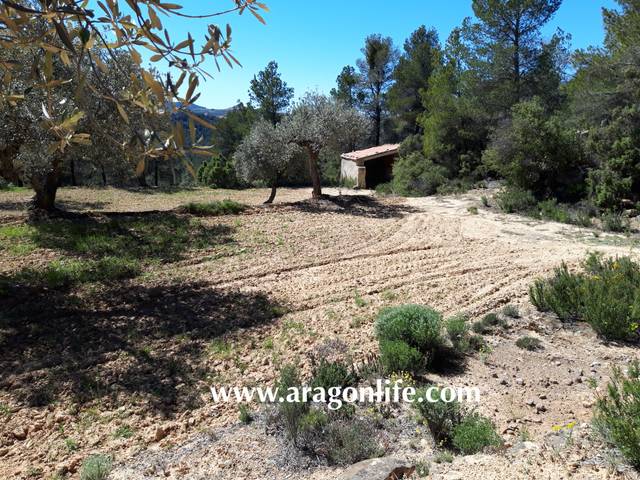 Finca rústica en Venta en N-420 en Caseres