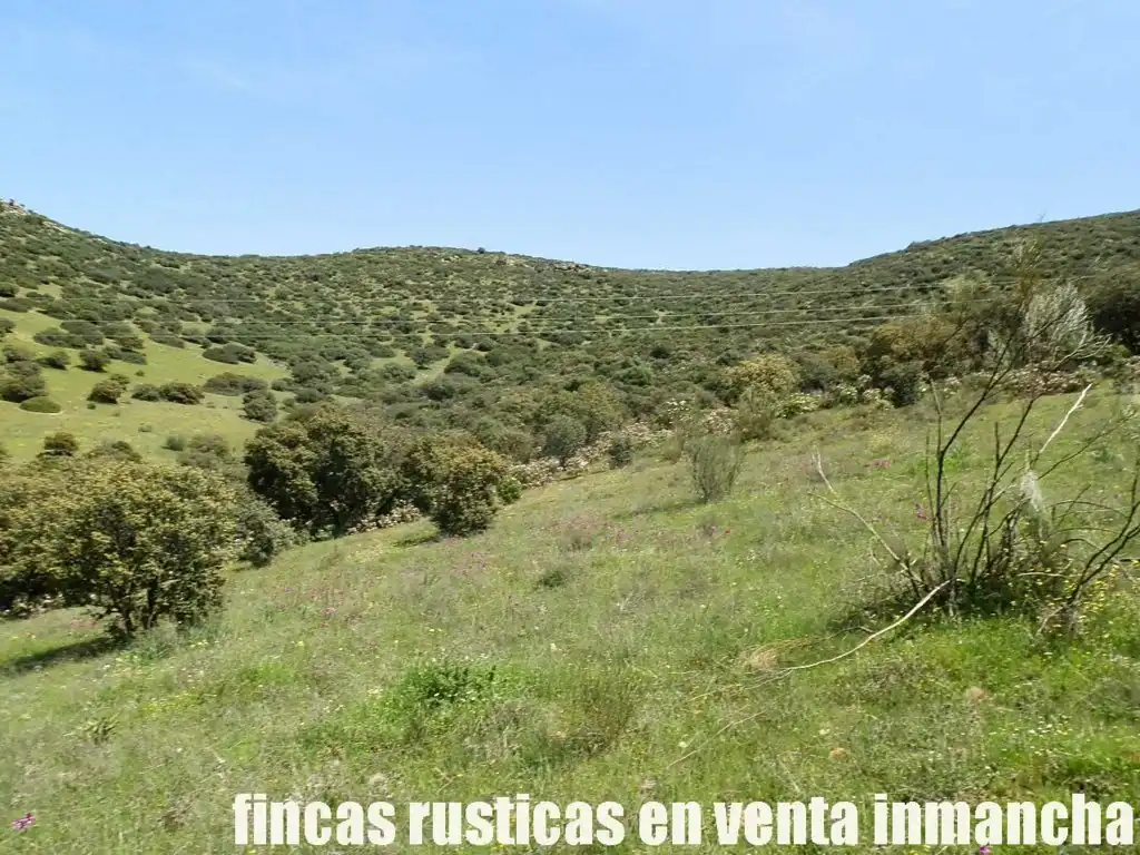 Rural land for sale in Calzada de Calatrava, imagen 19