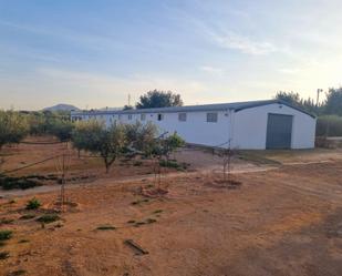 Vista exterior de Finca rústica en venda en Amposta amb Jardí privat i Piscina