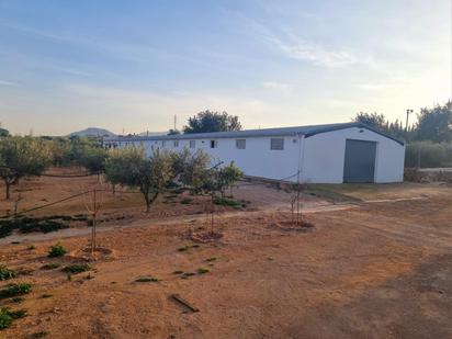 Vista exterior de Finca rústica en venda en Amposta amb Jardí privat i Piscina