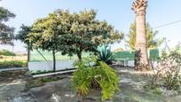 Jardí de Casa o xalet en venda en Dénia amb Jardí privat, Terrassa i Piscina