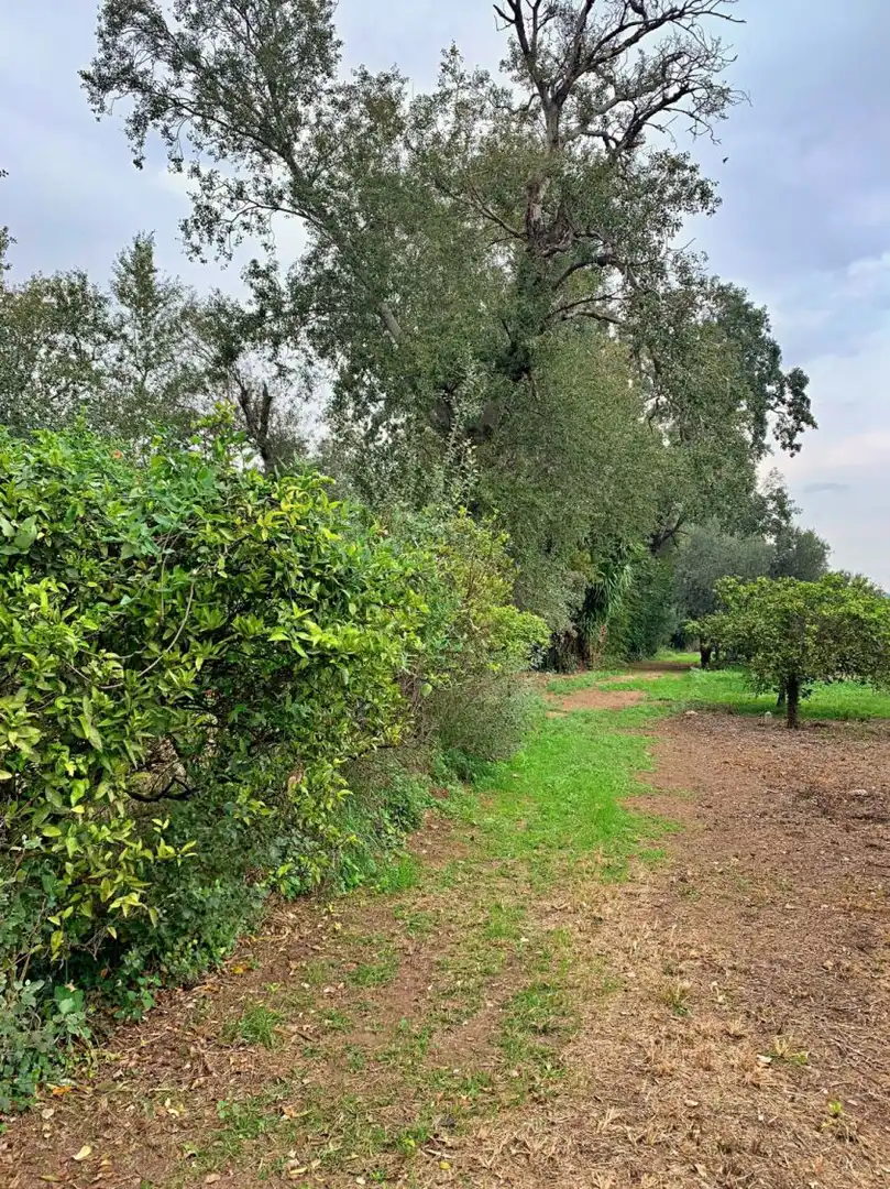 Finca rústica en venda en Tortosa