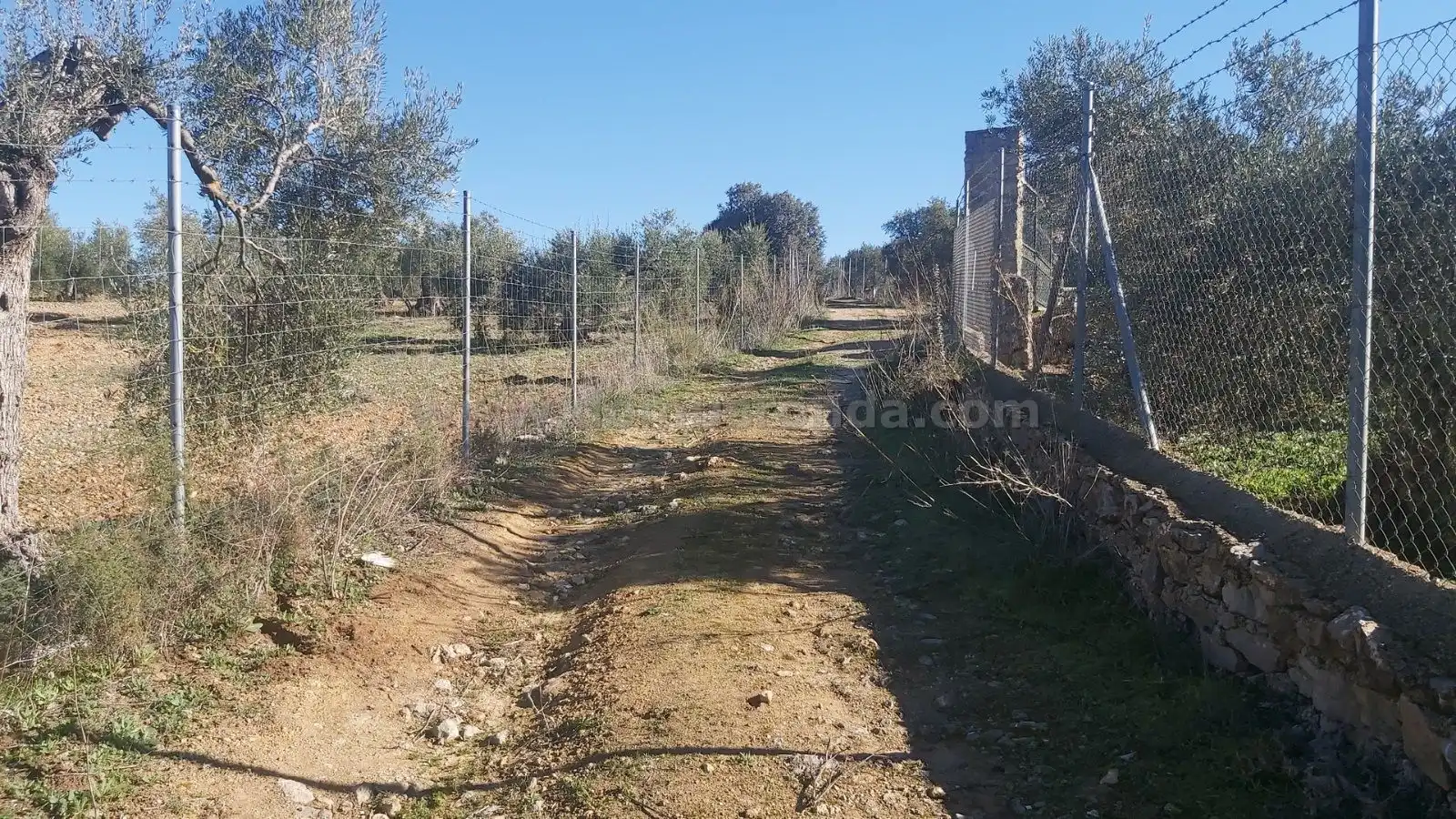 Terreni e lotti in vendita a Partidas Norte, imagen 13
