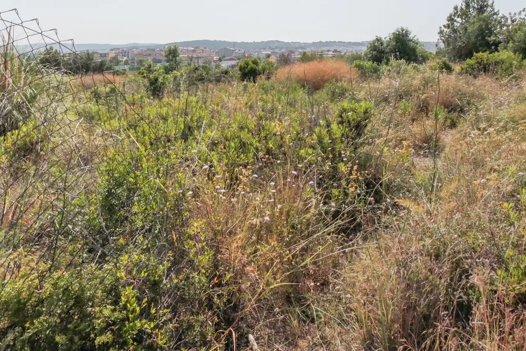 Rural land for sale in C/ Manuel de Pedrolo, imagen 10