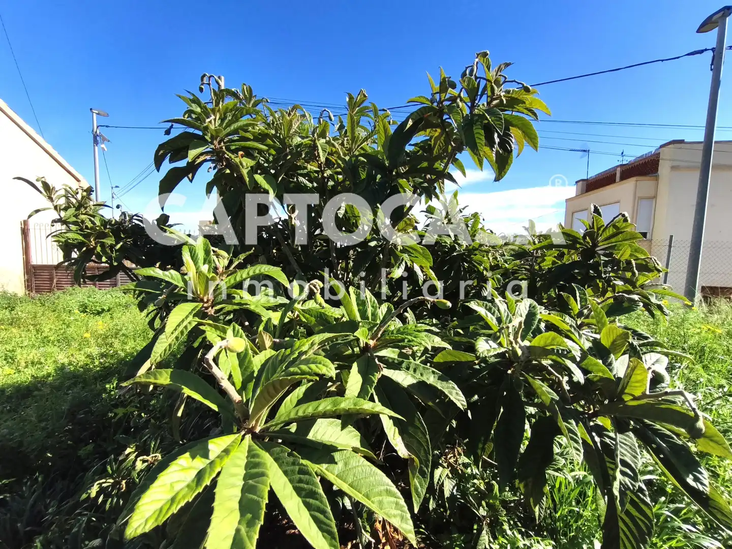 Finca rústica en venta en Cartagena con Jardín privado
