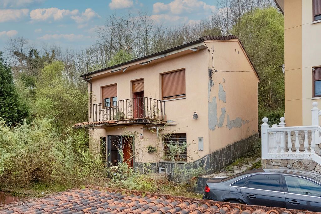 Exterior view of House or chalet for sale in Langreo