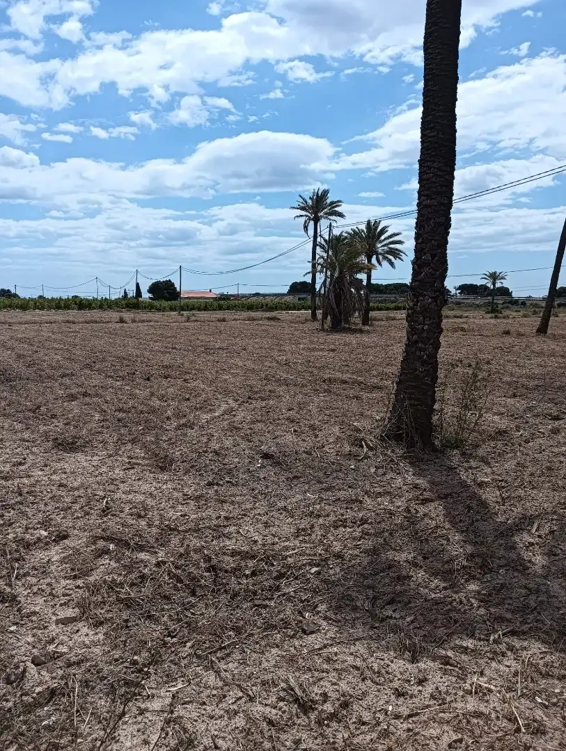 Terreno en venta en Elche / Elx