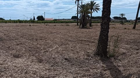 Foto 5 de Terreno en venta en Lugar Jubalcoi, 3035e, Jubalcoi, Elche / Elx