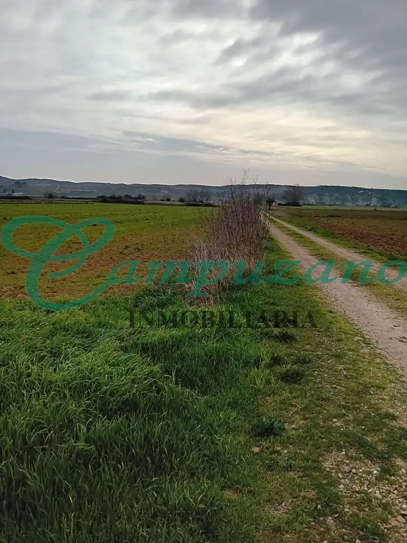 Terreno en venta en Calera y Chozas
