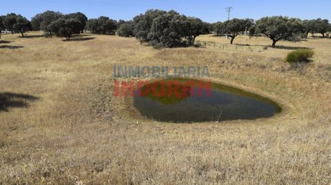 Finca de 18600 m2 poblada de encinas situada a 700 m del casco urbano de Millanes y a 60 m de la carretera Millanes, Cáceres, immagine 3