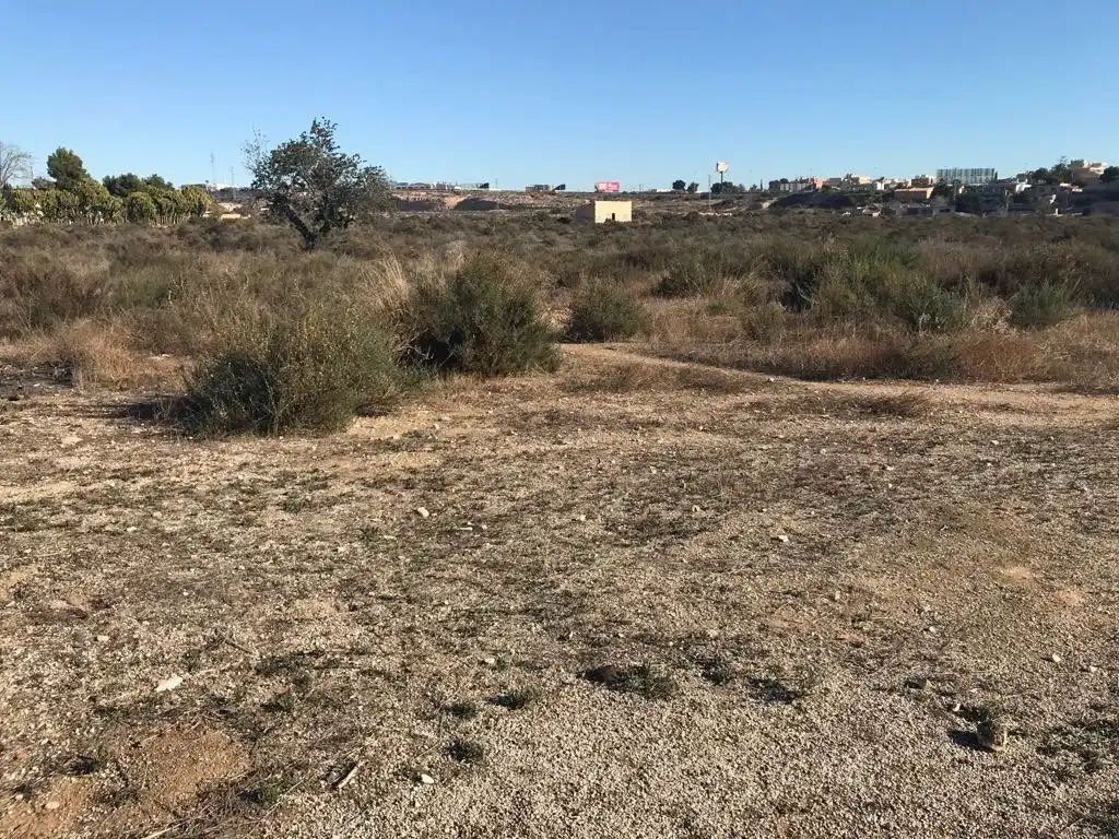 Country homes for sale in Elche / Elx  with Private garden