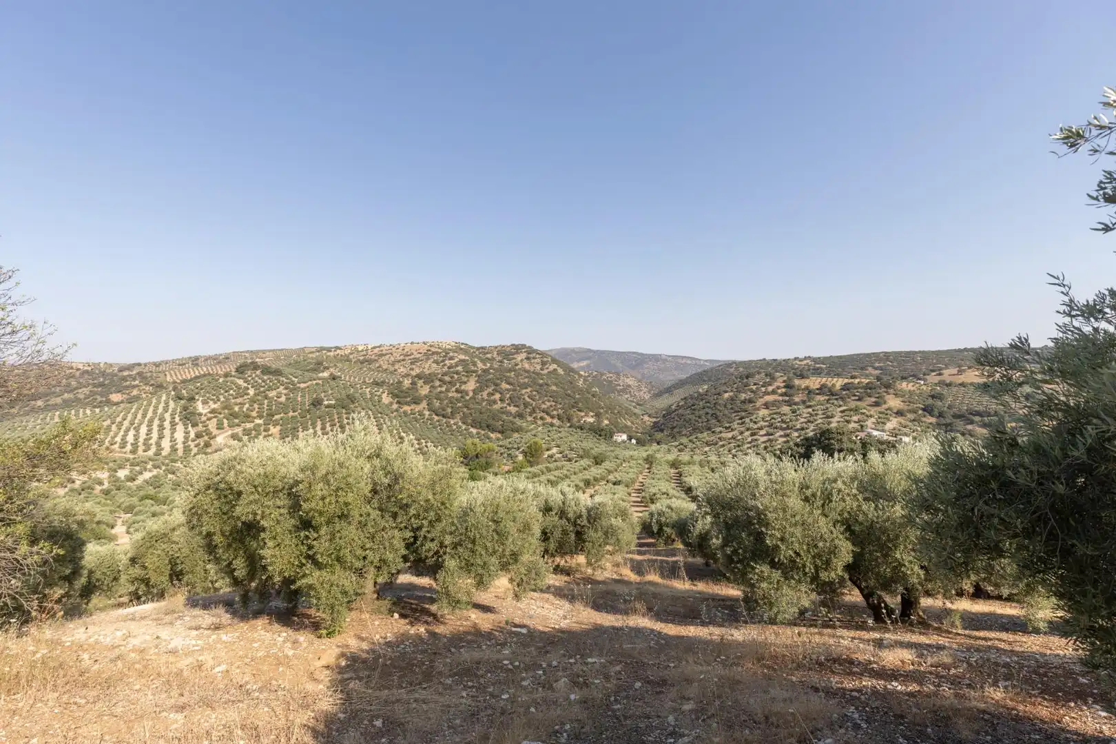 Terreni e lotti in vendita a Lugar Lugar del Cortijo Aguadero, imagen 33