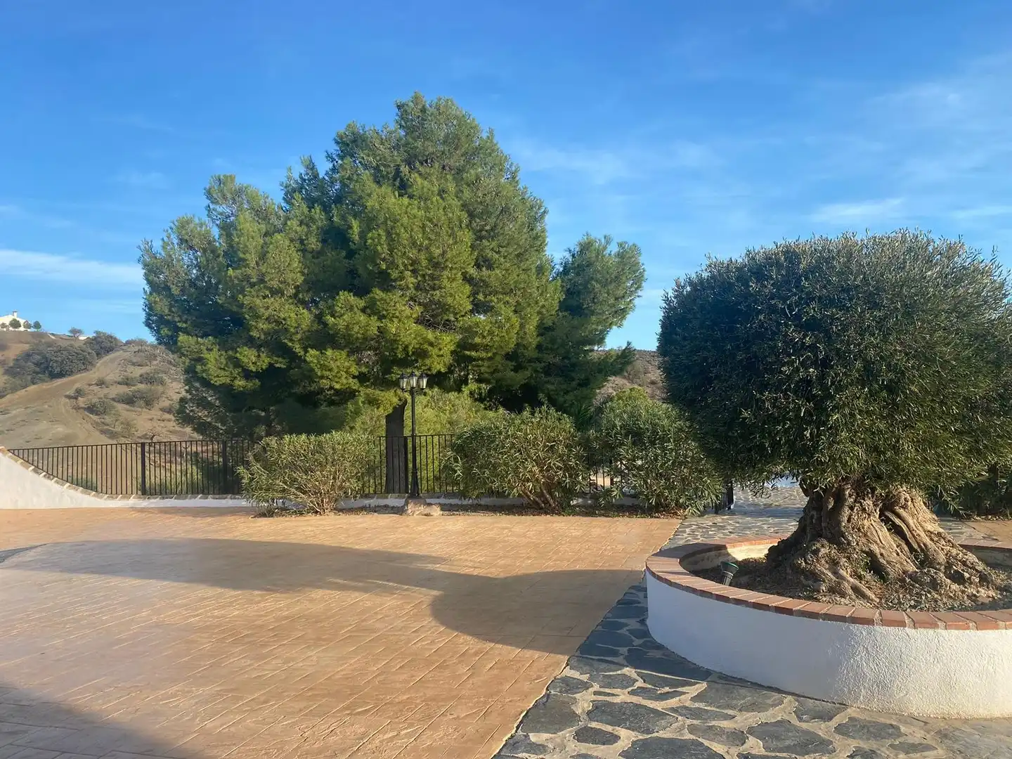 Garten von Gebäude zum Verkauf in Lorca