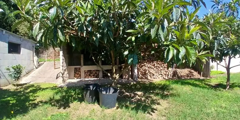 Maison avec jardin à vendre à Calle EIDOS, imagen 2