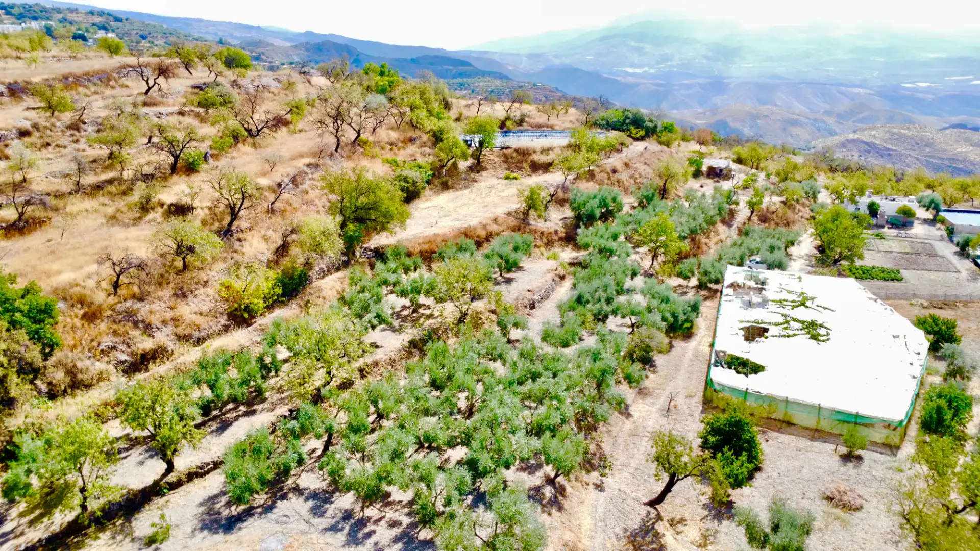 Terreno rustico in vendita a N/A, imagen 10