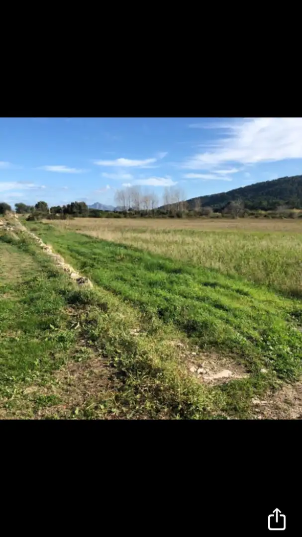 Terreno rustico in vendita a N/A, imagen 4