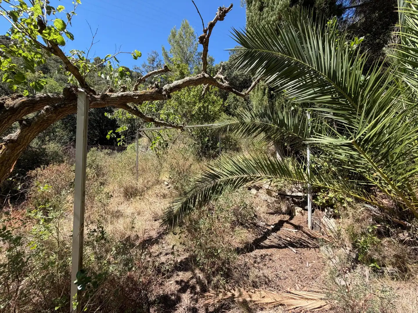 Country house with pool for sale in Cami de La Pedrera, imagen 13