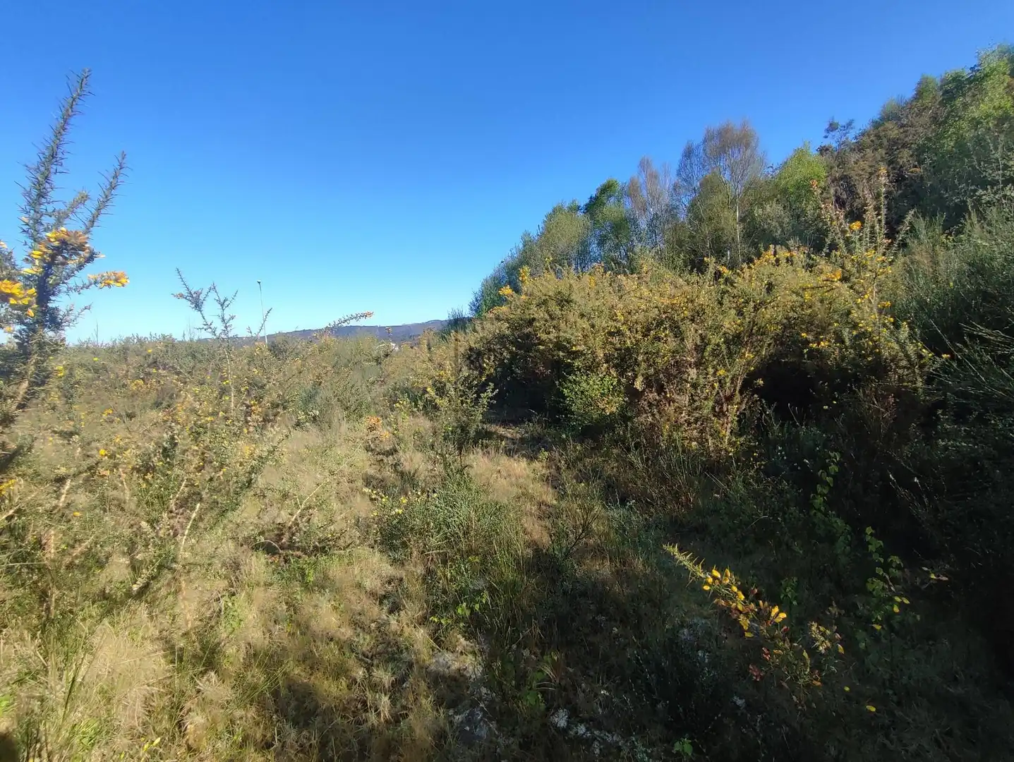Residencial en venta en As Somozas 