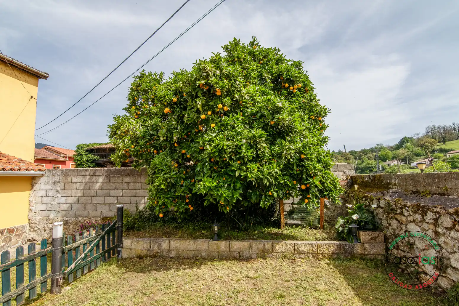 Jardín de Casa o chalet en venta en Las Regueras   con Calefacción y Jardín privado