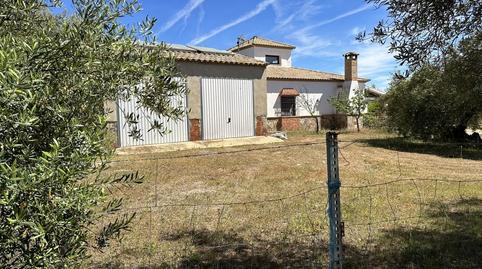 Foto 5 de Finca rústica en venda a  de las Navas a Puebla de Los Infantes, 10, Las Navas de la Concepción, Sevilla