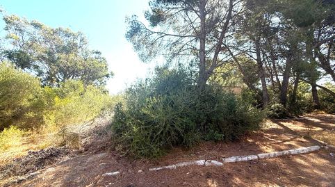 Foto 3 de Residencial en venta en Cales de Mallorca, Manacor