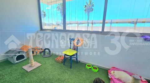 Photo 3 of Flat for sale in Isleta, Las Palmas