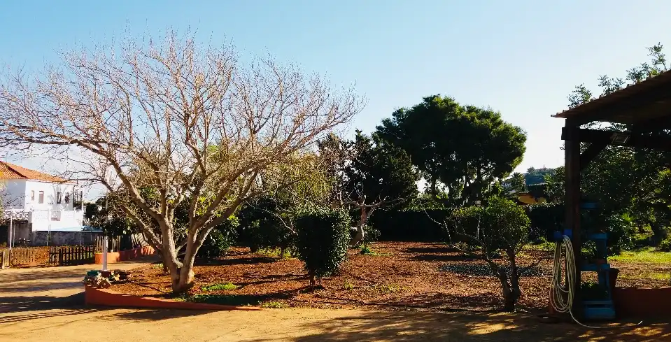 Jardí de Casa o xalet en venda en Muro de Alcoy amb Aire condicionat, Calefacció i Jardí privat