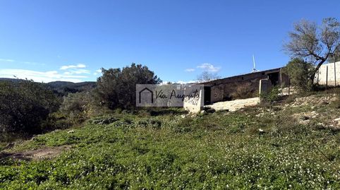 Foto 2 de Terreno en venta en Bassa D'en Baró, El Perelló, Tarragona