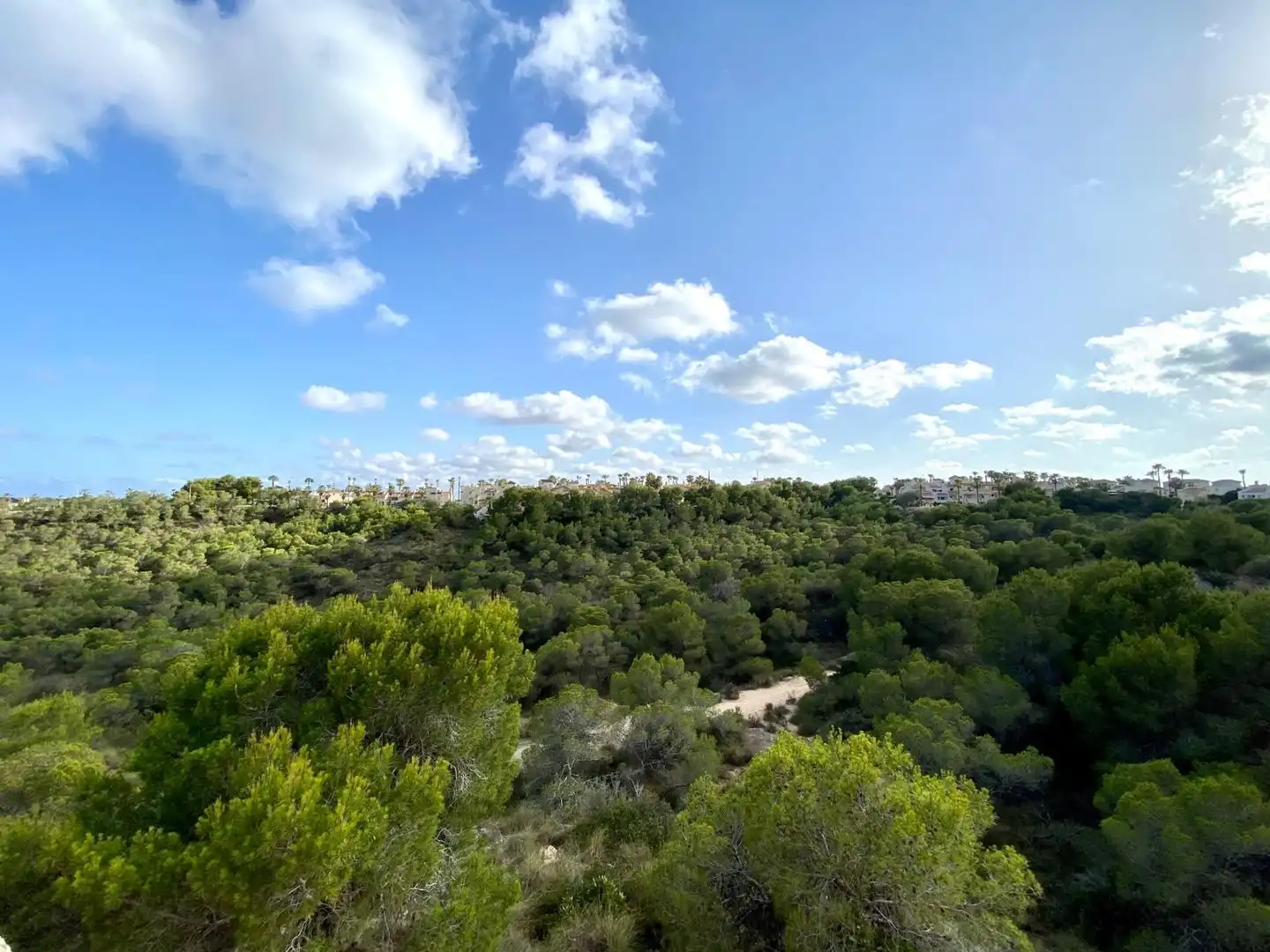 Bungalow en venta en Orihuela Costa, imagen 49