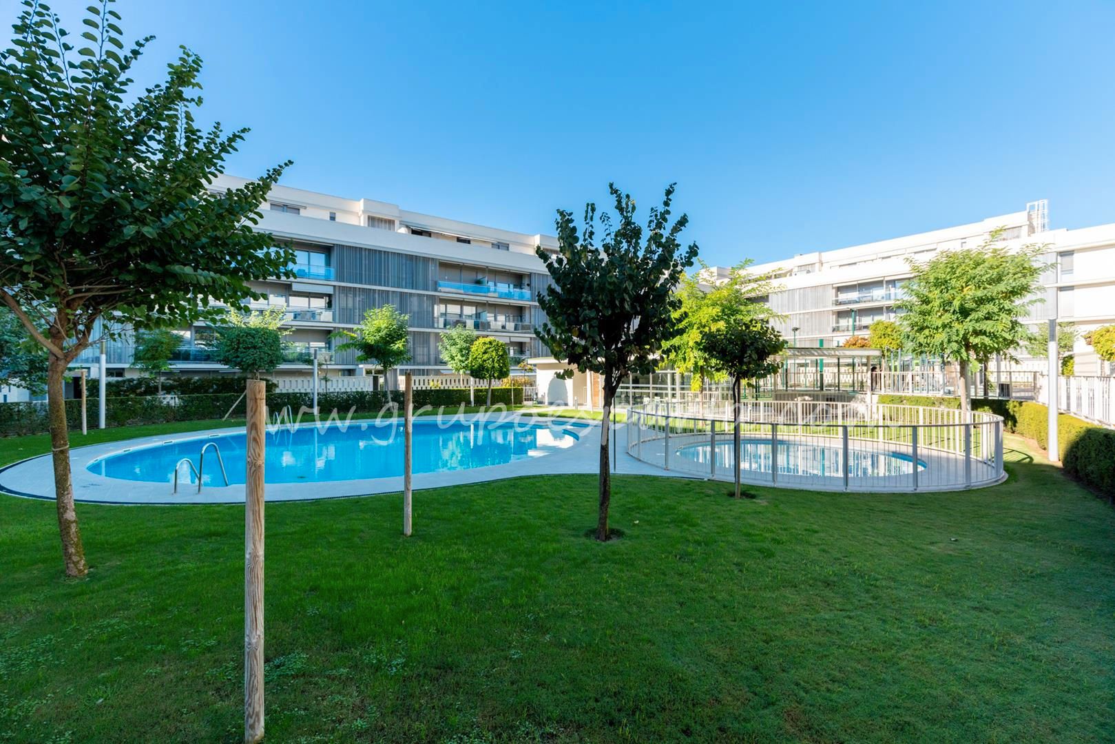 Planta baixa de lloguer a Avenida de los Olmos, Casco Antiguo
