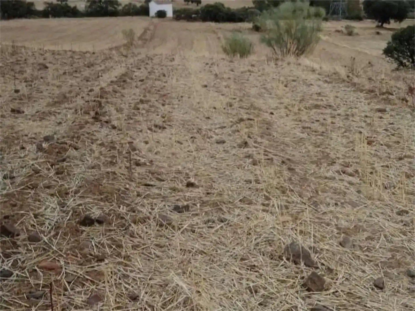 Terreno en venta en Campillo de Llerena