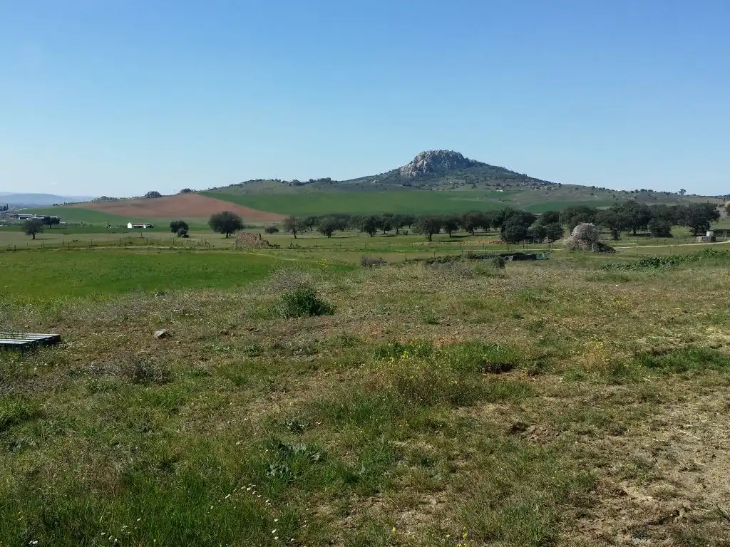 Landhaus mit Garten zum Verkauf in Peñarroya-Pueblonuevo, imagen 5