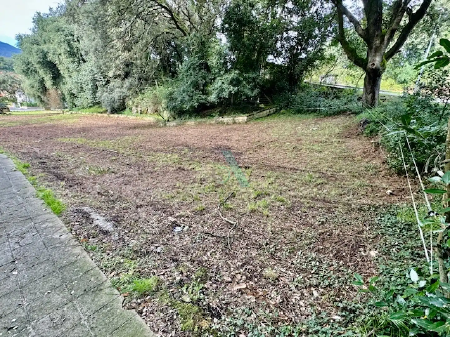 Terreno rustico in vendita a Pancar - llavandera, imagen 4