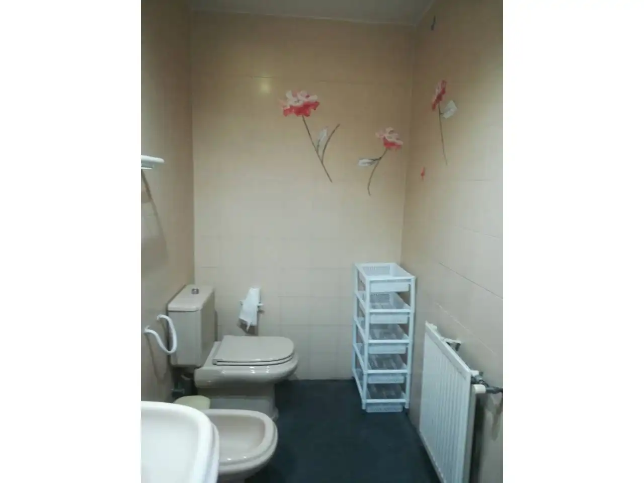 Mini appartamento con terrazza in affitto a Ronda BUENAVISTA 23, imagen 19