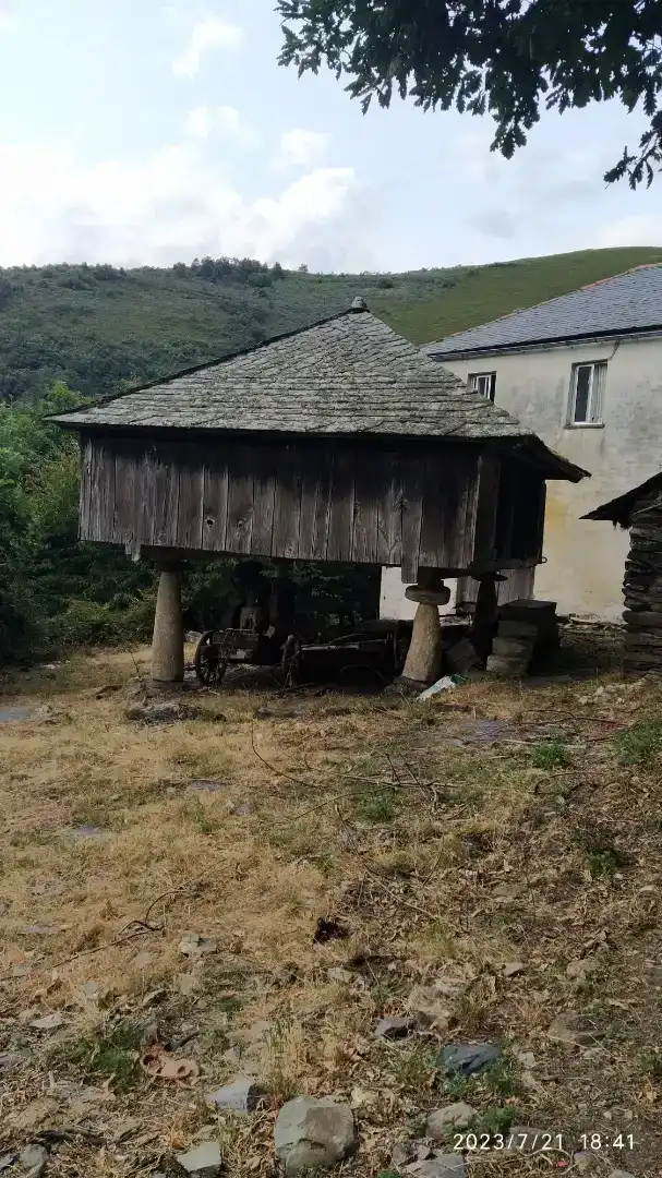 Vista exterior de Finca rústica en venda en Cervantes
