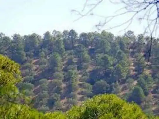 Terreni e lotti in vendita a Villanueva del Arzobispo, imagen 9