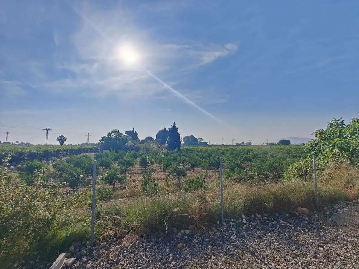 Houses for sale in Algemesí  with Private garden, Terrace and Swimming Pool